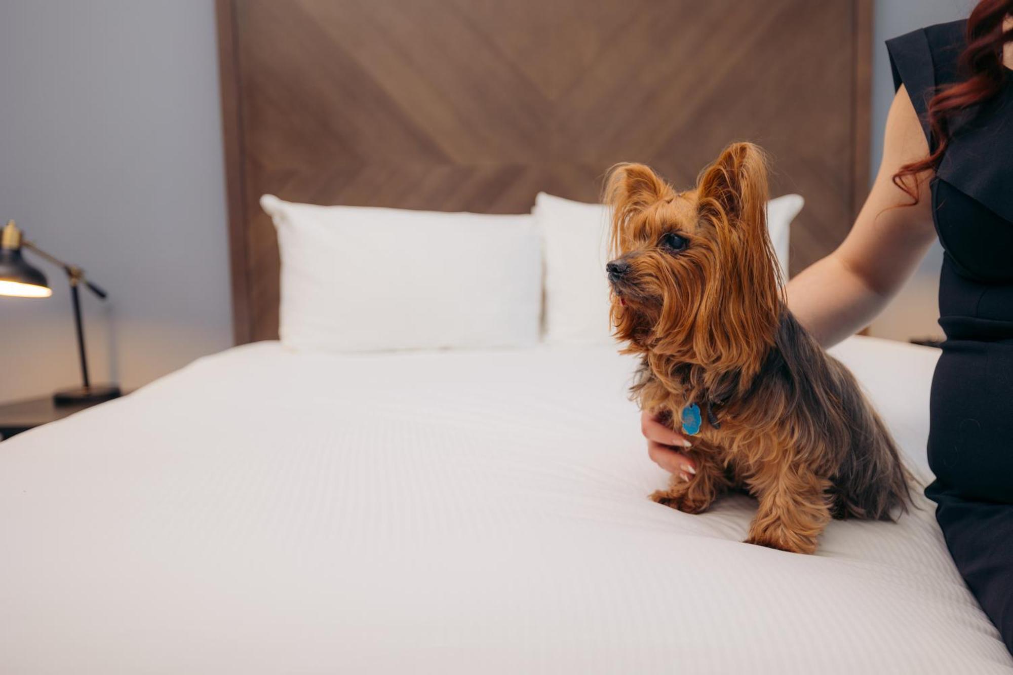 Hotel Winters Екстериор снимка